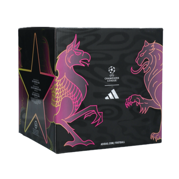 Футбольний м'яч Adidas Champions League Box 2026 Budapest Final розмір 5 JX9101 фото