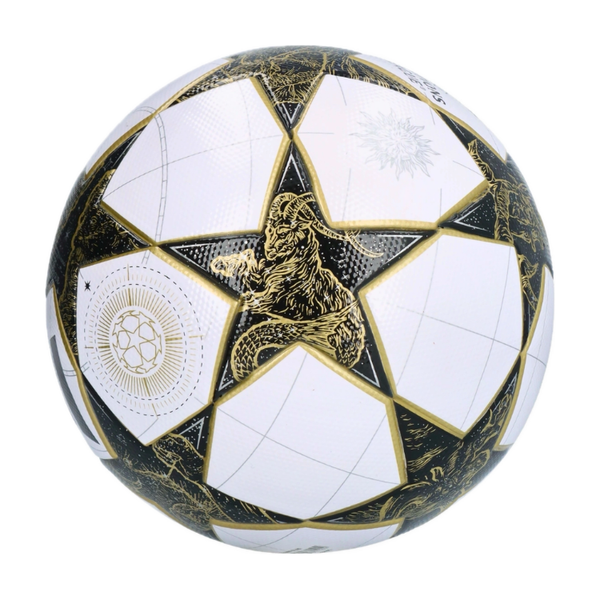 Футбольний м'яч Adidas Champions League 2025/26 розмір 5 JZ9995 фото